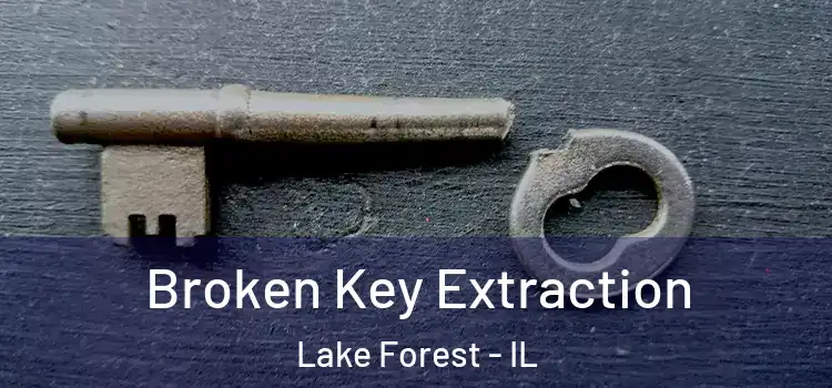  Broken Key Extraction Lake Forest - IL