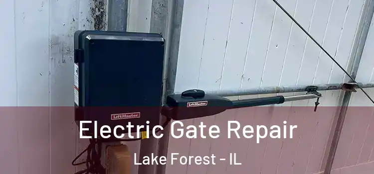  Electric Gate Repair Lake Forest - IL