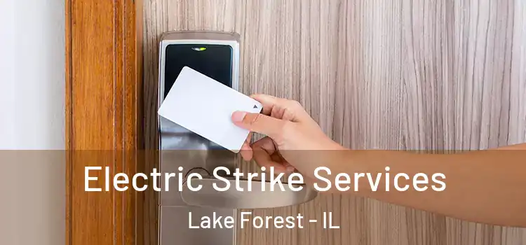  Electric Strike Services Lake Forest - IL