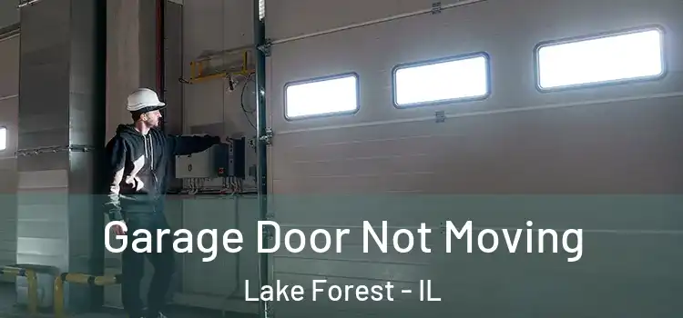  Garage Door Not Moving Lake Forest - IL