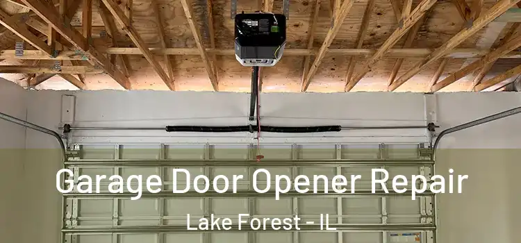  Garage Door Opener Repair Lake Forest - IL