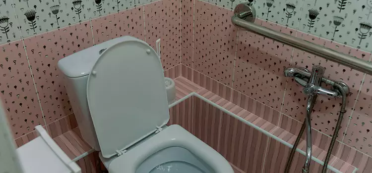 Meeting Diverse Needs With Accessible Restroom Solutions in Lake Forest, IL